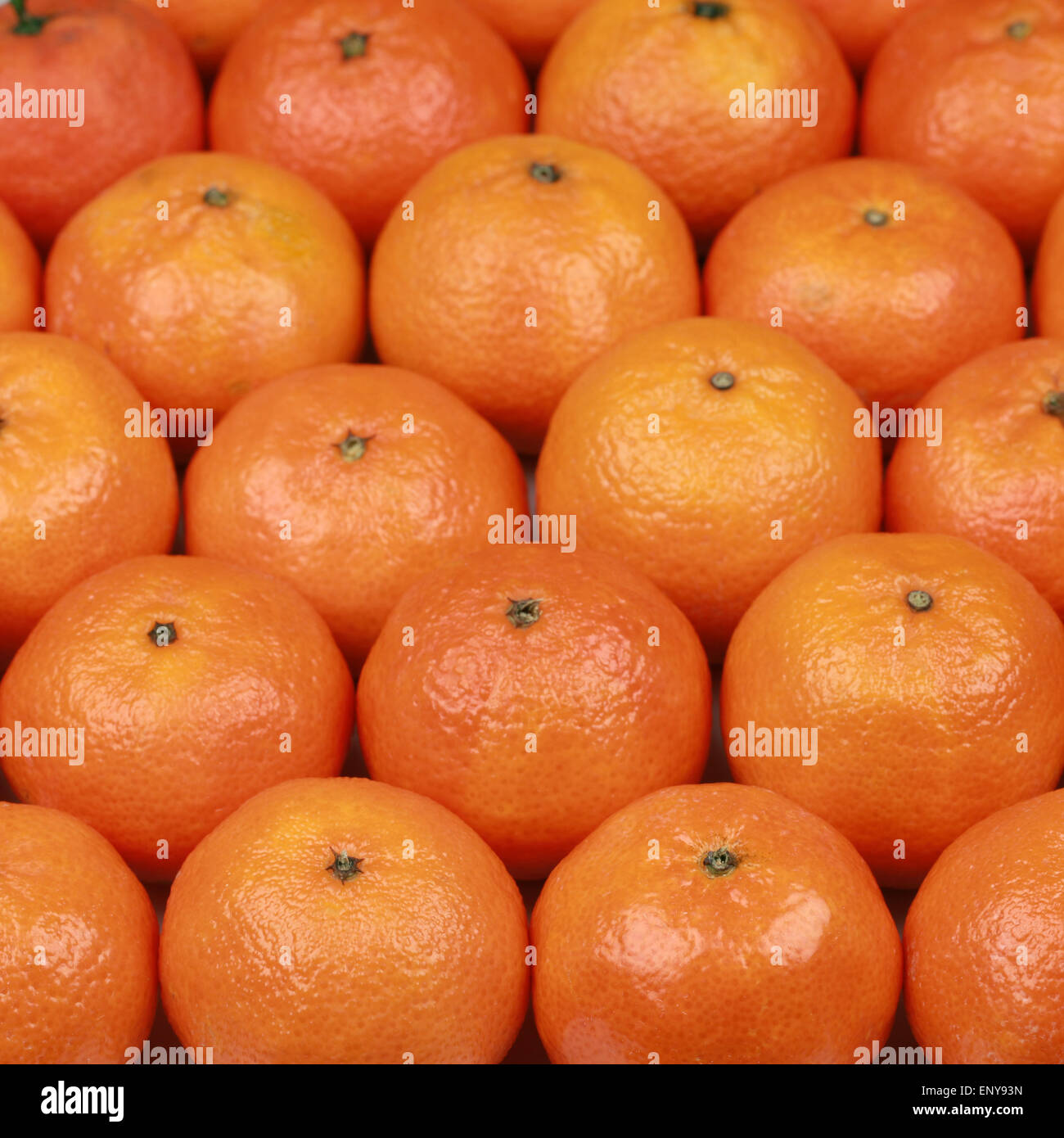 Frisch geerntete Mandarinen Stock Photo