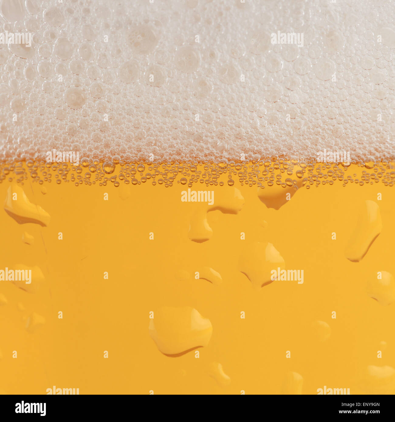 Bier im Glas mit Schaumkrone Stock Photo