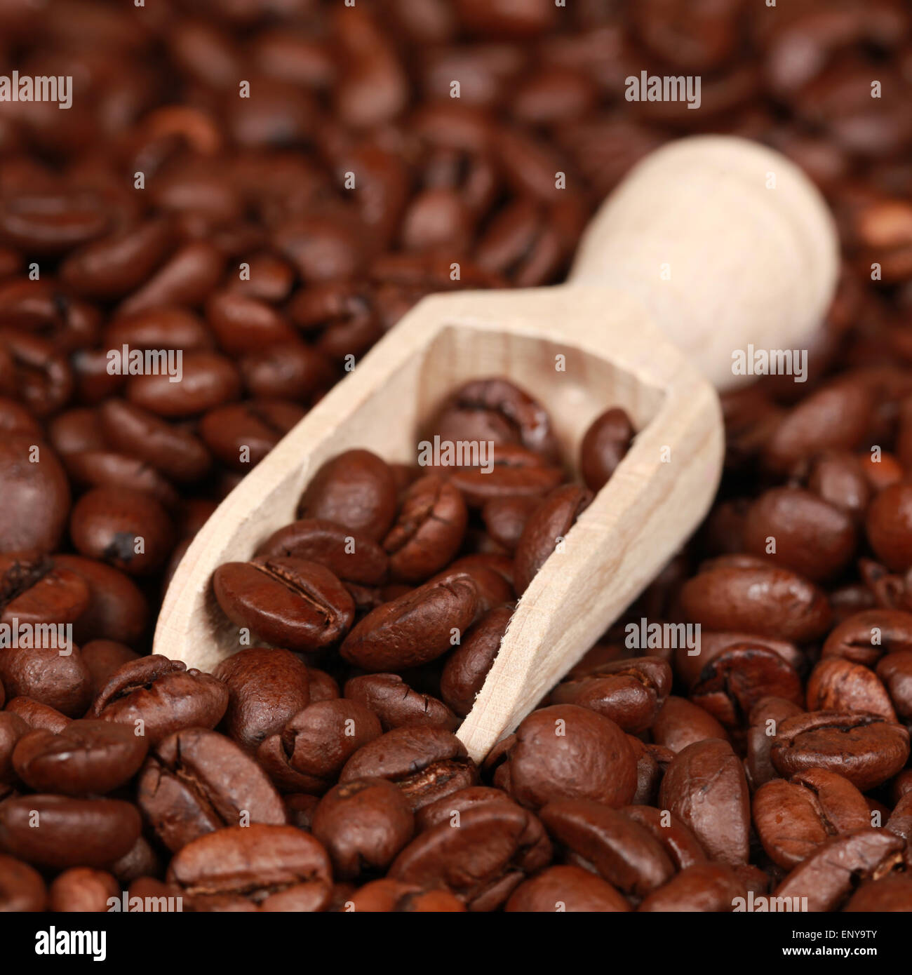 Kaffeebohnen in einem Schöpflöffel Stock Photo