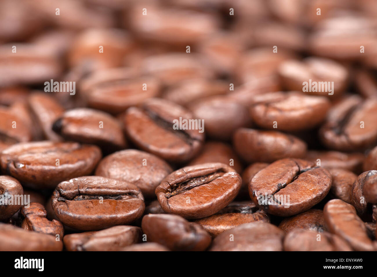 Kaffeebohnen mit Textfreiraum Stock Photo