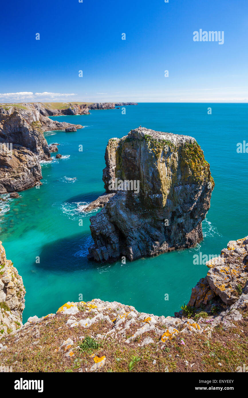 Stack Rocks, Castlemartin, Pembrokeshire Coast, Wales, U.K. Stock Photo