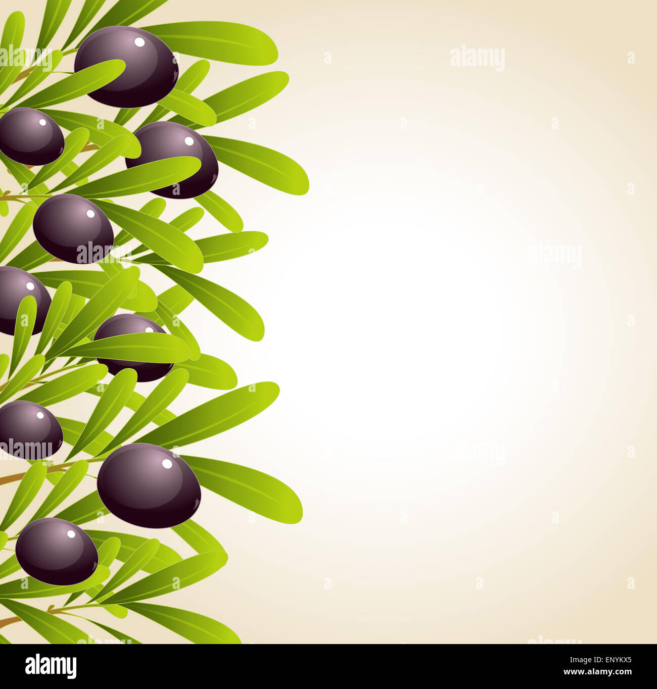 Background with green olive branches and black olives Stock Photo - Alamy