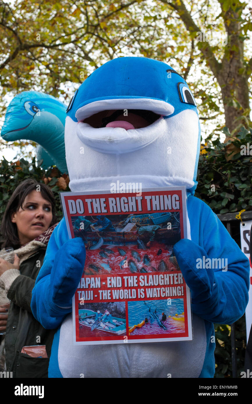 Hundreds of protesters gather opposite the Japanese Embassy in London to protest against the killing of the mammals during the dolphin drives that take place annually from September to March in Taiji, Higashimuro District, Wakayama Prefecture, Japan.  Featuring: View Where: London, United Kingdom When: 07 Nov 2014 Credit: Peter Maclaine/WENN.com Stock Photo