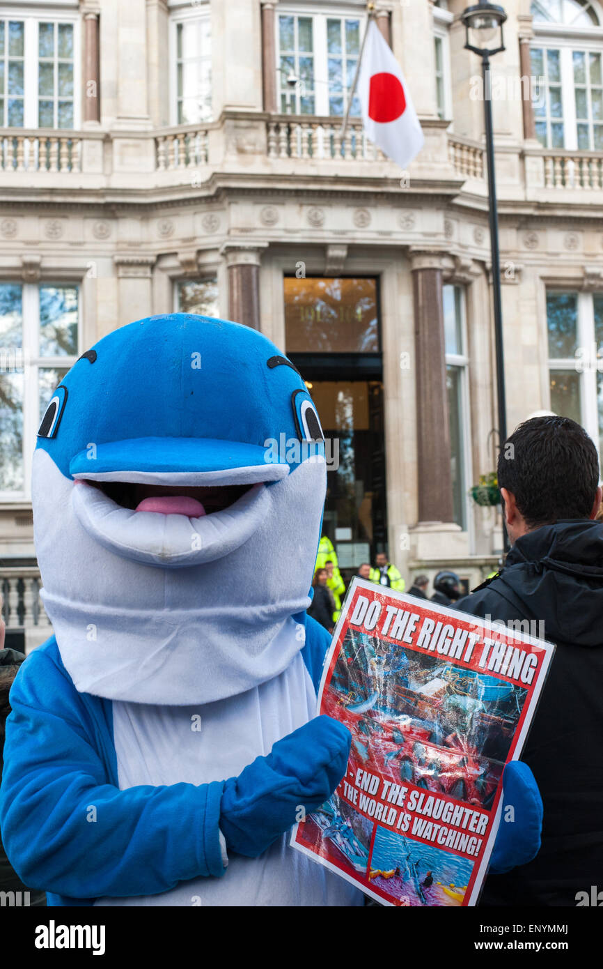 Hundreds of protesters gather opposite the Japanese Embassy in London to protest against the killing of the mammals during the dolphin drives that take place annually from September to March in Taiji, Higashimuro District, Wakayama Prefecture, Japan.  Featuring: View Where: London, United Kingdom When: 07 Nov 2014 Credit: Peter Maclaine/WENN.com Stock Photo