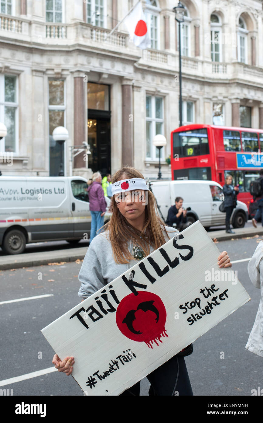 Hundreds of protesters gather opposite the Japanese Embassy in London to protest against the killing of the mammals during the dolphin drives that take place annually from September to March in Taiji, Higashimuro District, Wakayama Prefecture, Japan.  Featuring: View Where: London, United Kingdom When: 07 Nov 2014 Credit: Peter Maclaine/WENN.com Stock Photo