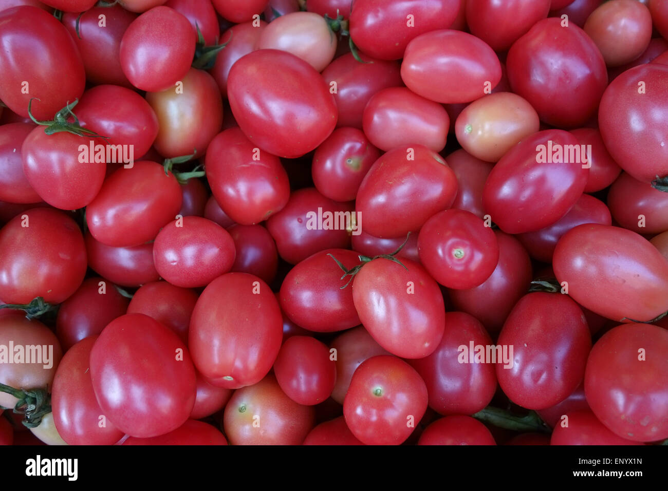 Red ripe plum shaped tomatoes on a Thai food stall, Bangkok Stock Photo