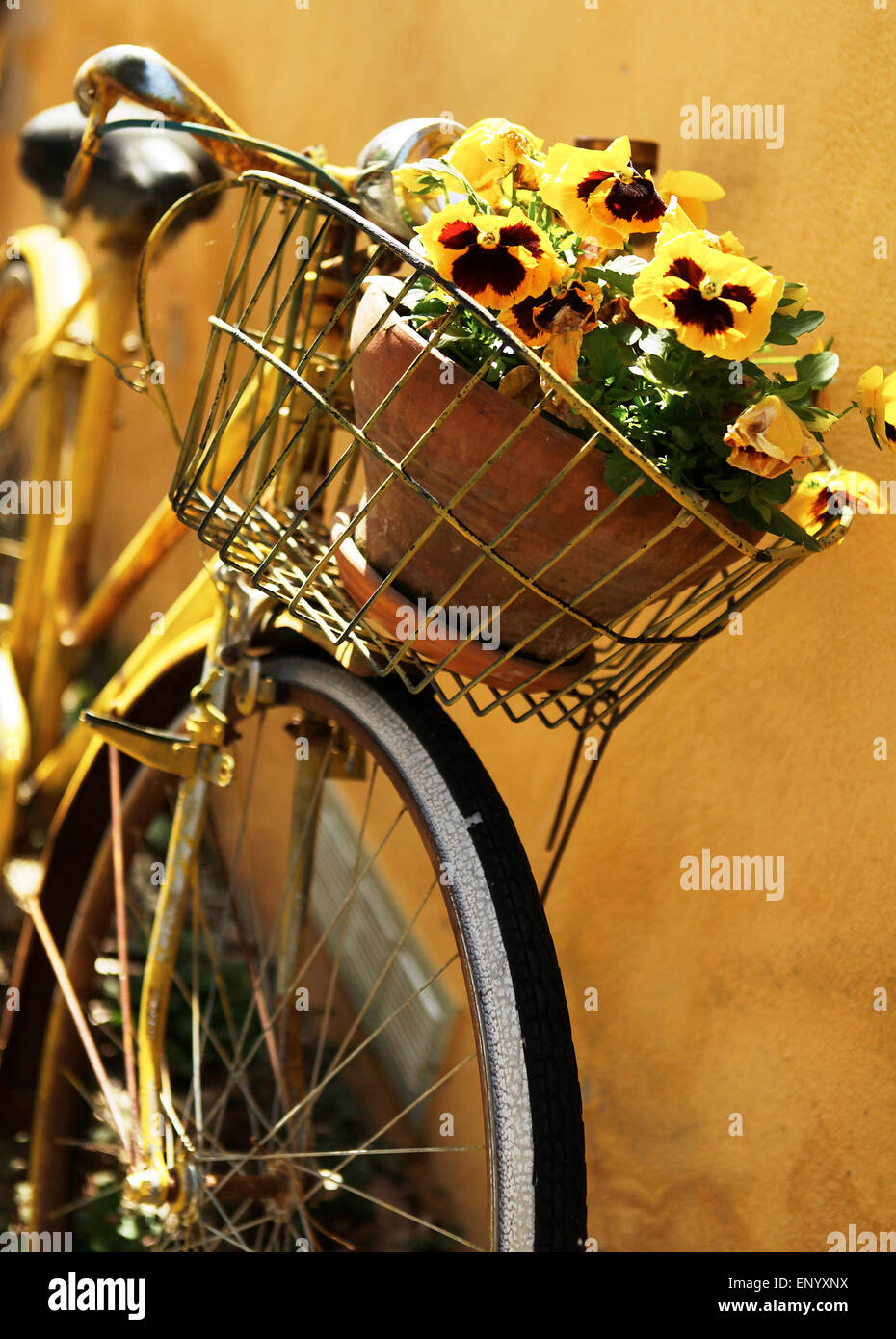 Yellow bike against wall - flowers in basket Stock Photo