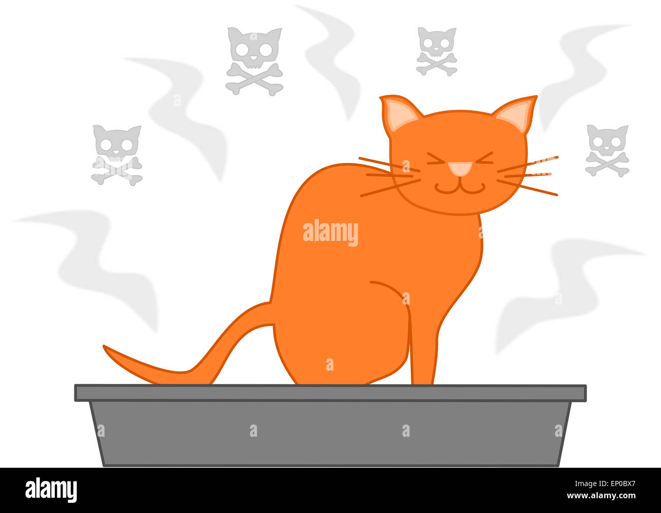 Funny cat poop videos shop