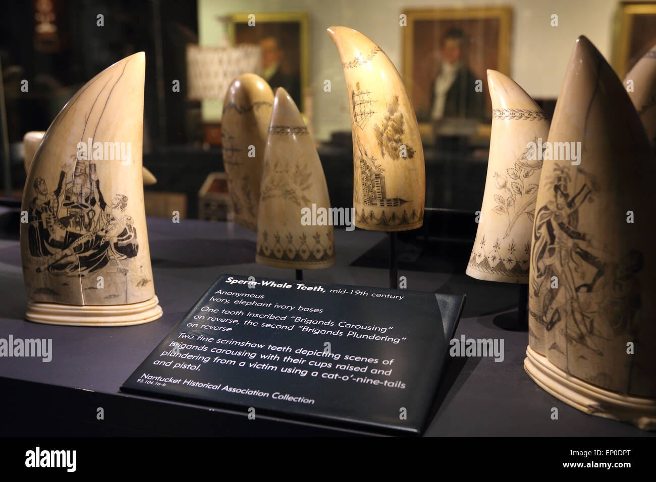 Nantucket Whaling museum. A display showing sperm whale teeth with scrimshaw carving, whalers in background. Nantucket Island. Massachusetts. Stock Photo