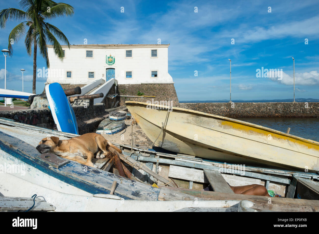 Brazilian stray dog lies in the sun on a pile of traditional colorful