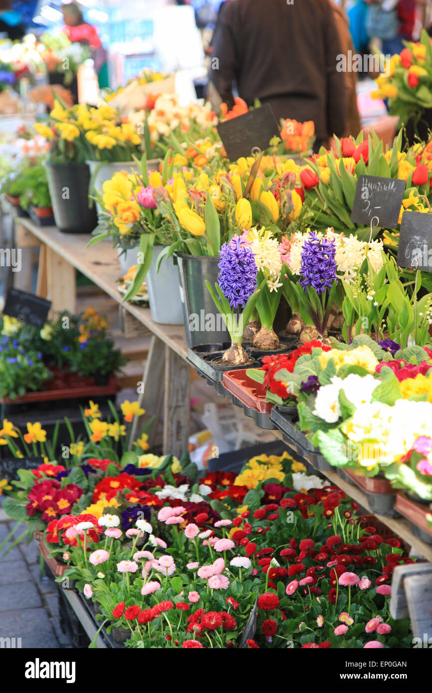 Spring flower market Stock Photo