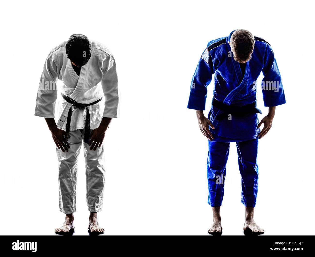 two judokas fighters fighting men in silhouette on white background ...