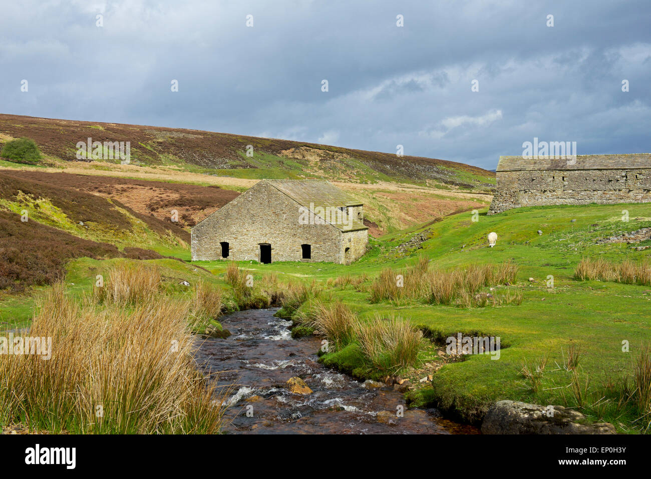 Grinton lead smelting mill, Swaledale, Yorkshire Dales National Park ...