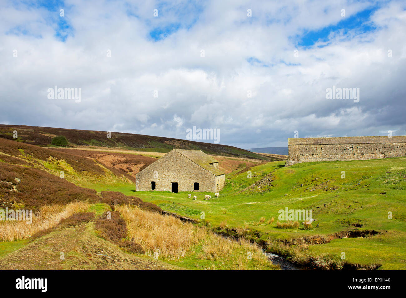 Grinton lead smelting mill, Swaledale, Yorkshire Dales National Park ...
