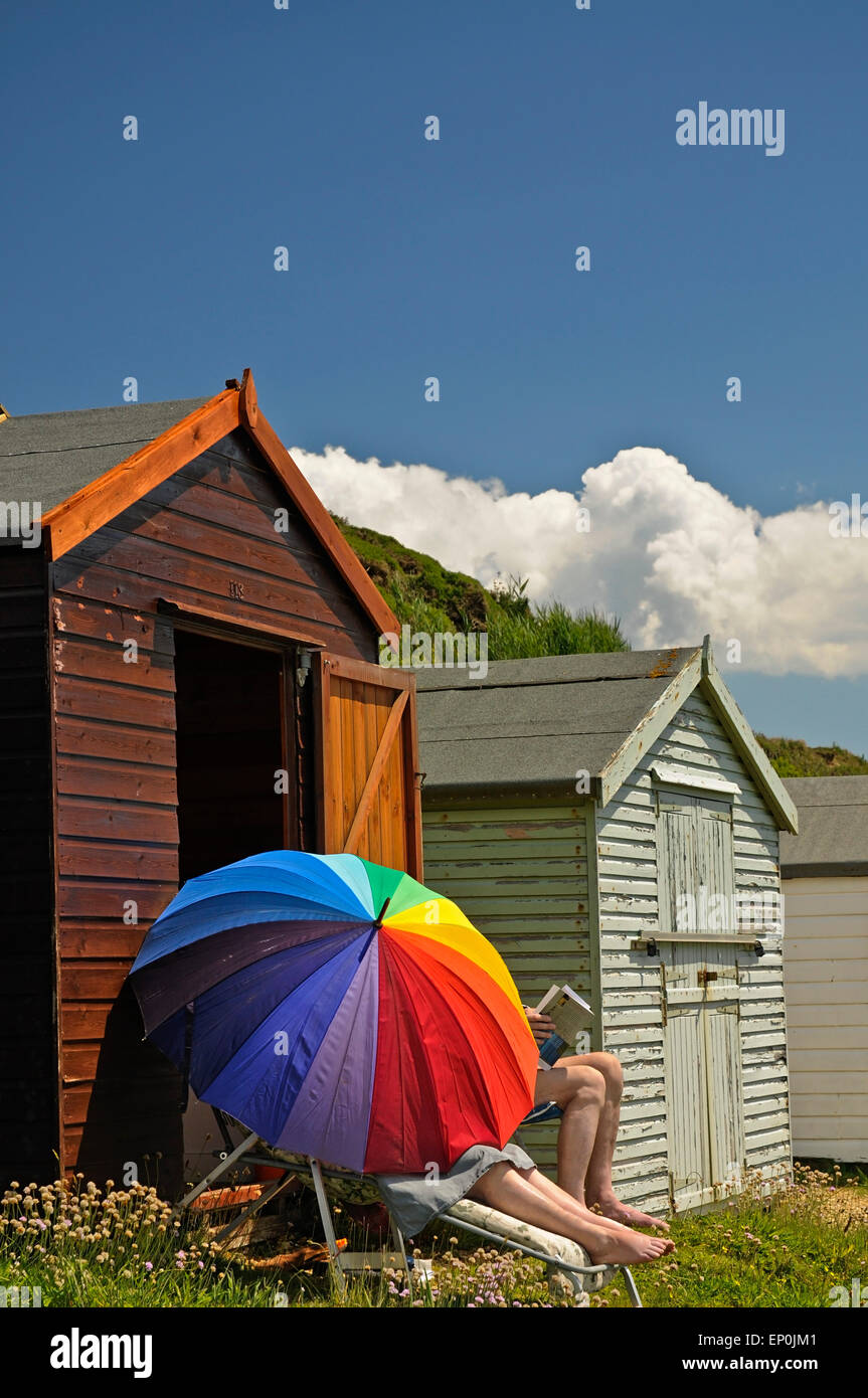 Beach huts in southengland coast UK england europe Stock Photo