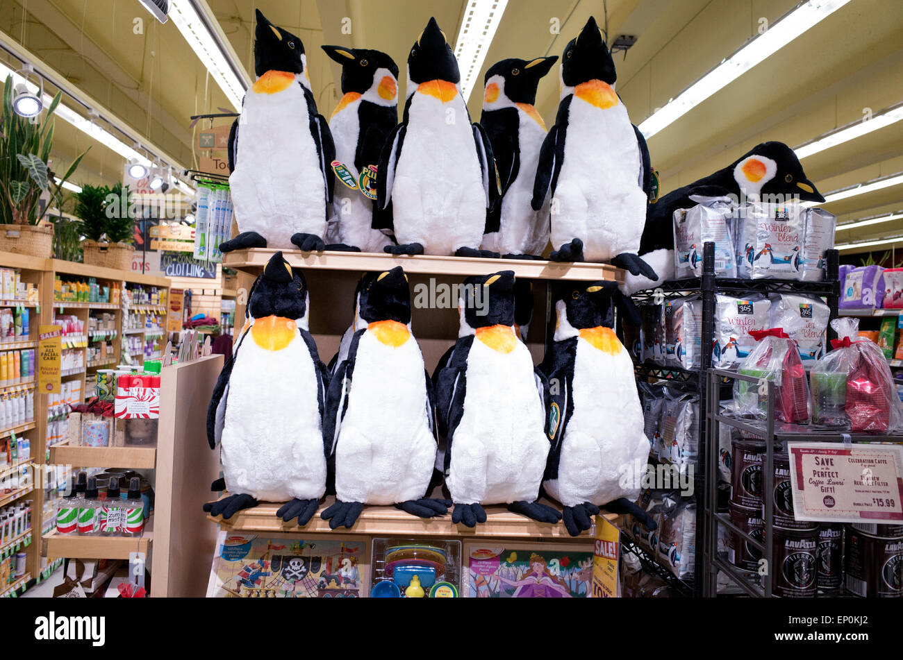 stuffed penguins for sale