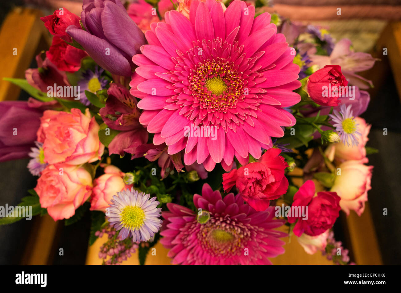 Pink Gerbera Daisy Stock Photo - Alamy