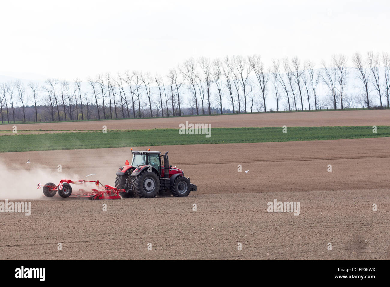 The tractor harrowing the large brown field in spring season Stock ...