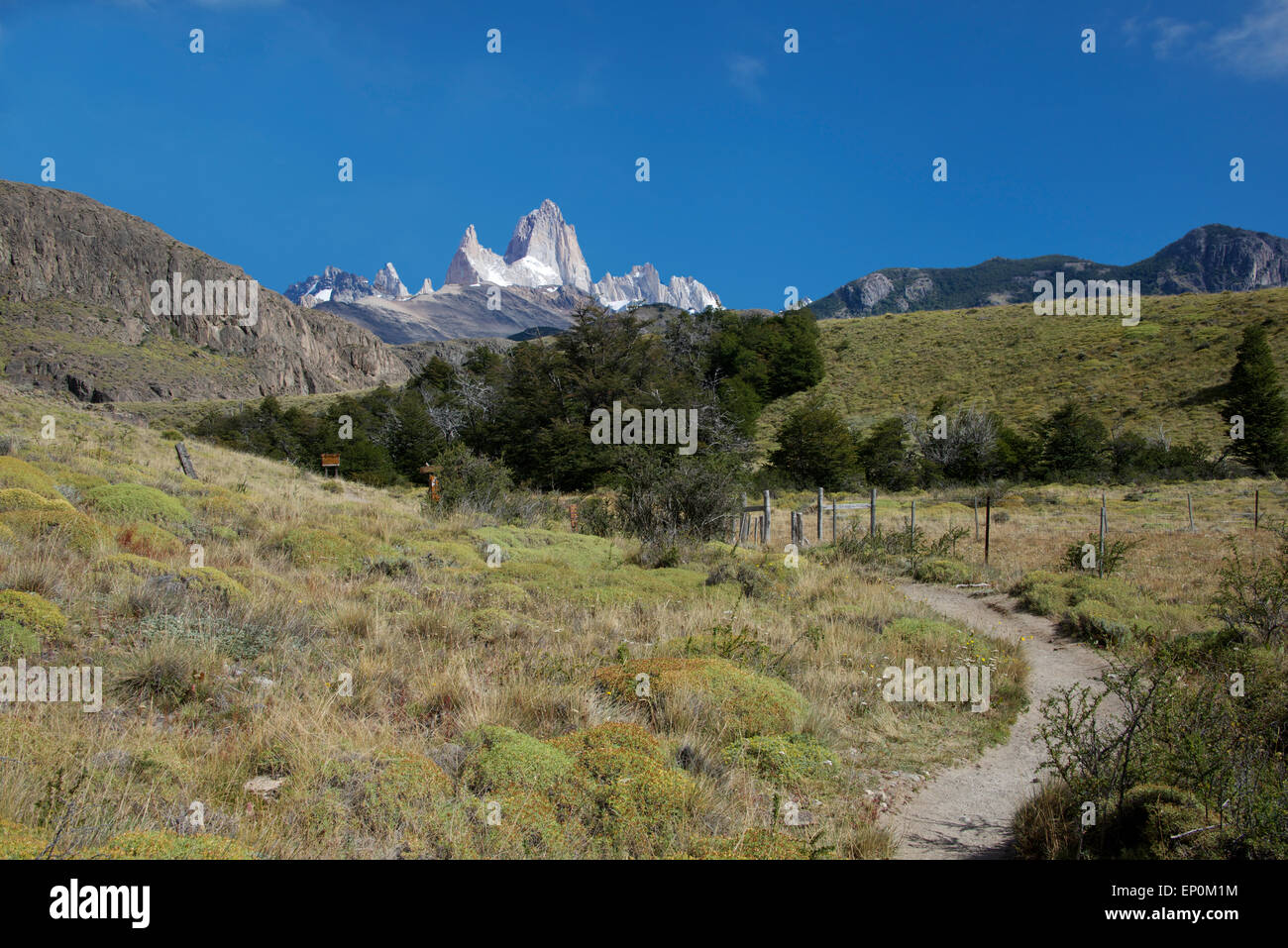 Trekking path with Mount Fitz Roy Ranges El Chalten Los Glaciares ...