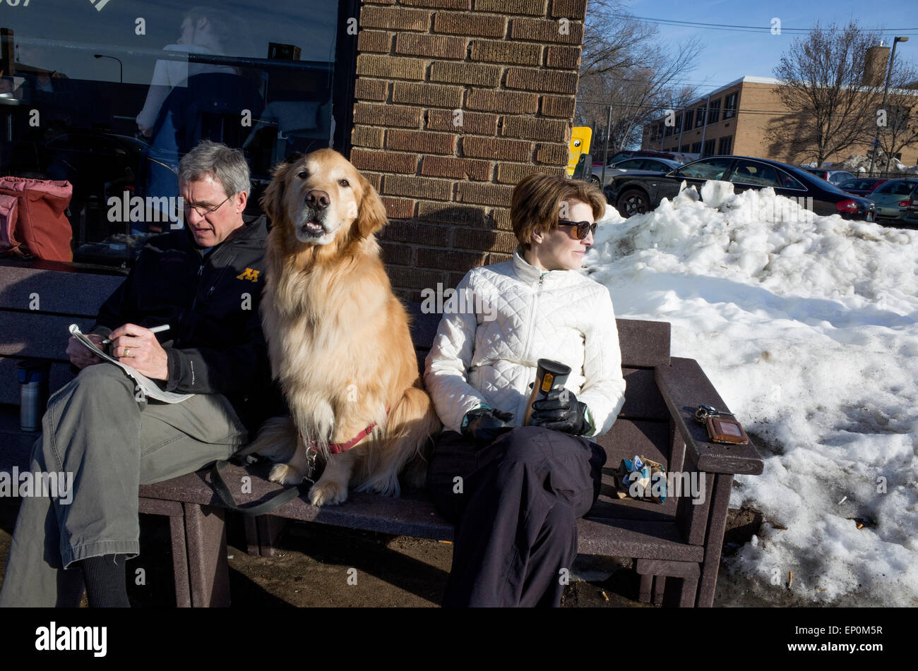 Couple having a winter coffee outside with their golden retriever dog at Dunn Bros Coffee shop. St Paul Minnesota MN USA Stock Photo