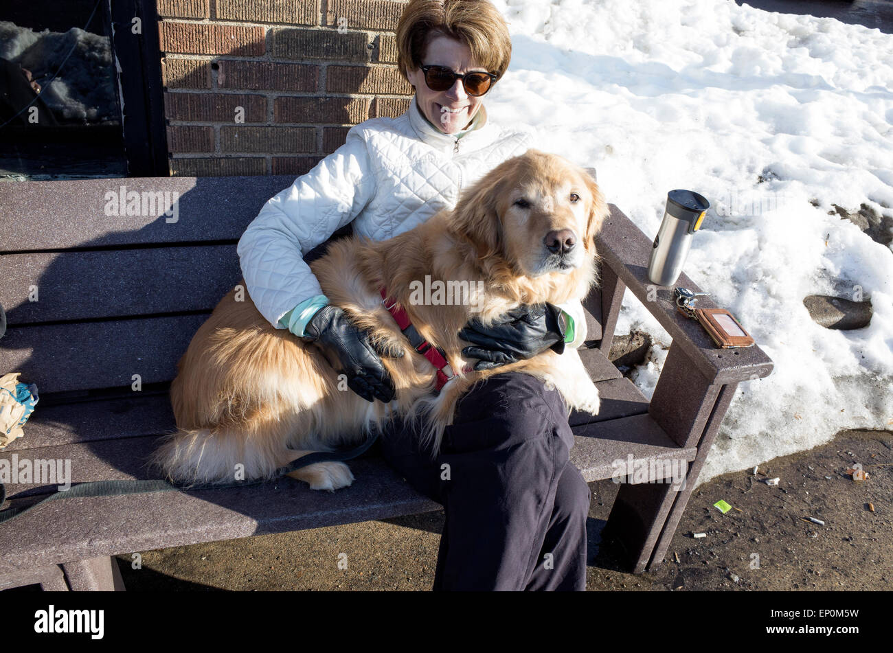Woman drinking coffee outside soaking up the winter sun with her golden retriever dog on her lap. St Paul Minnesota MN USA Stock Photo