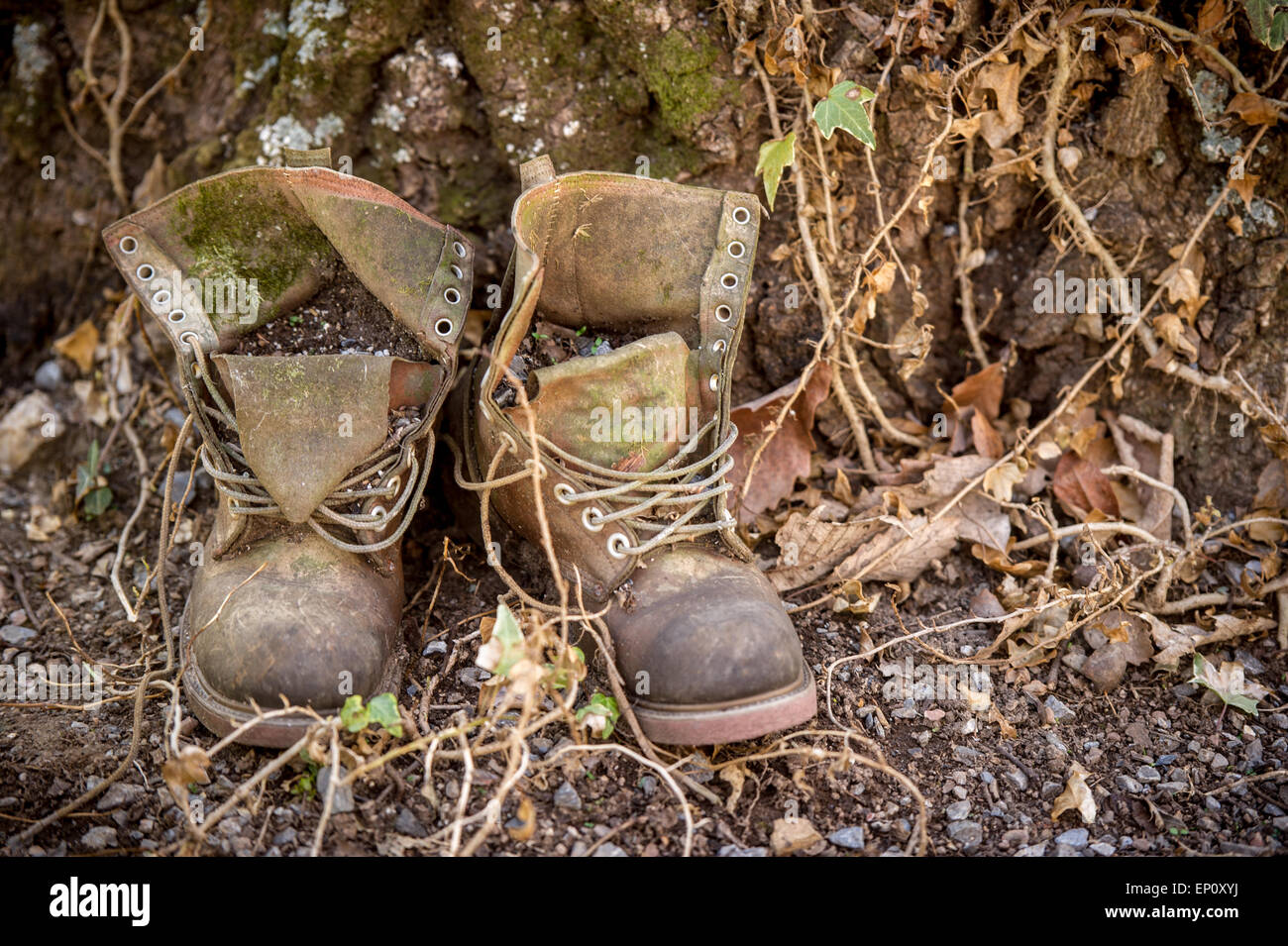 Old work boots filled with dirt near Mt Airey, Maryland Stock Photo