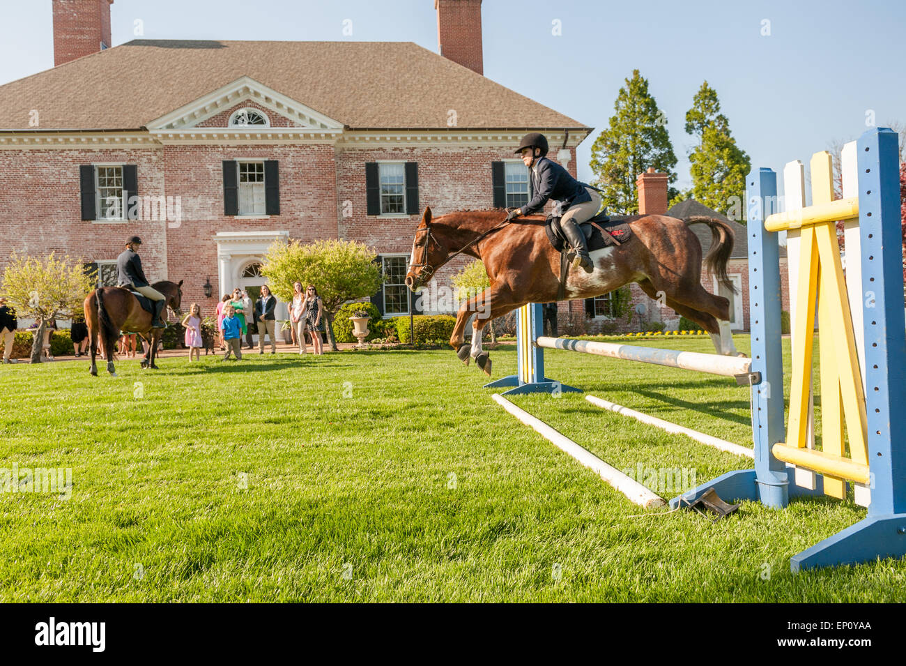 Woman riding a horse jumping a hurdle in Baltimore County, MD USA Stock Photo
