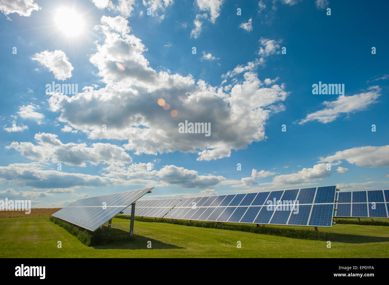 Long rows of solar panels in Elizabethtown, Pennsylvania, USA Stock