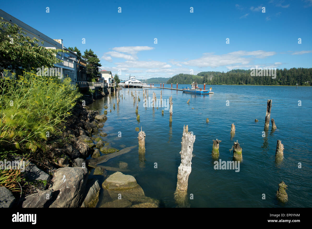 Old dock posts in a bay along the Oregon Coast, USA Stock Photo