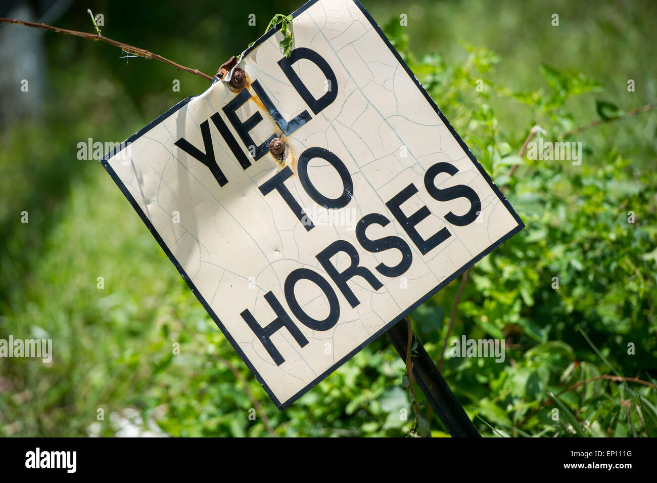 An old sign asking to Yield to Horses in Southern Maryland, USA Stock Photo