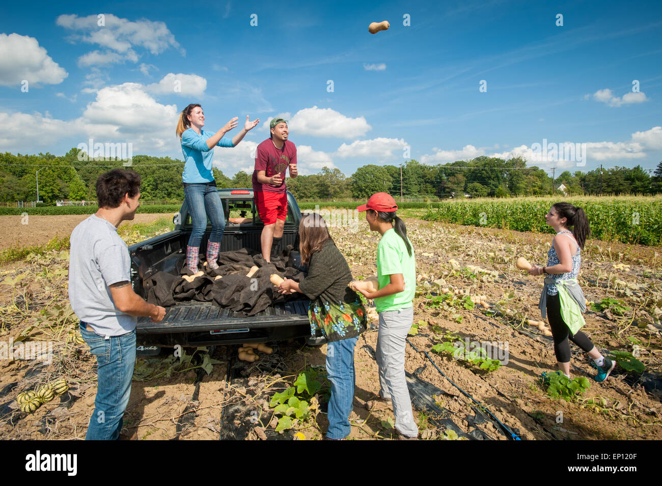 Students working on a farm in Upper Marlboro, Maryland, USA Stock Photo