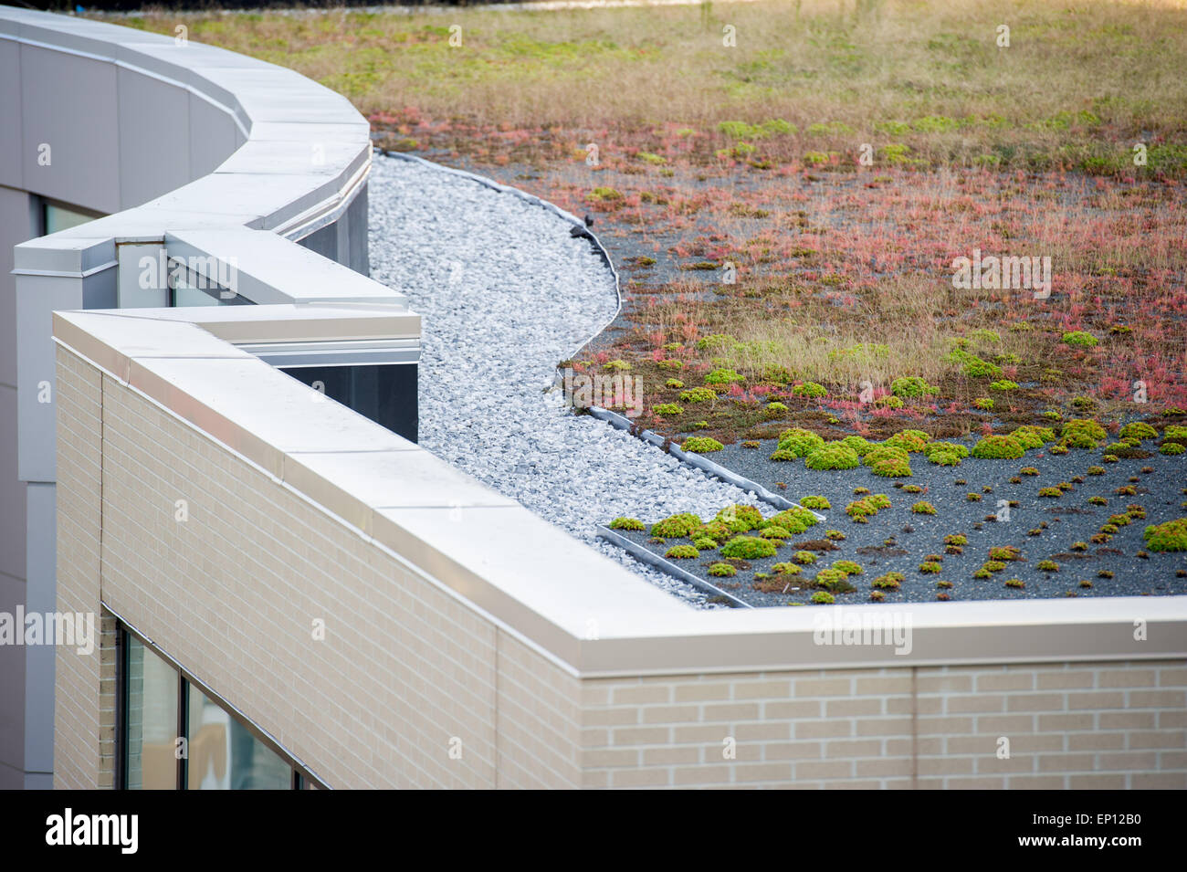 View of a green roof Stock Photo