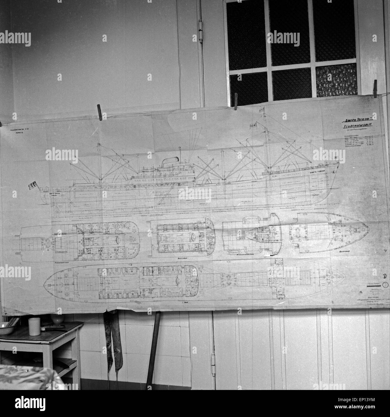 Risszeichnung des Frachtmotorschiffes 'Santa Teresa' als Plan aufghängt in einer Werkstatt, Deutschland 1950er Jahre. Cutaway of Stock Photo
