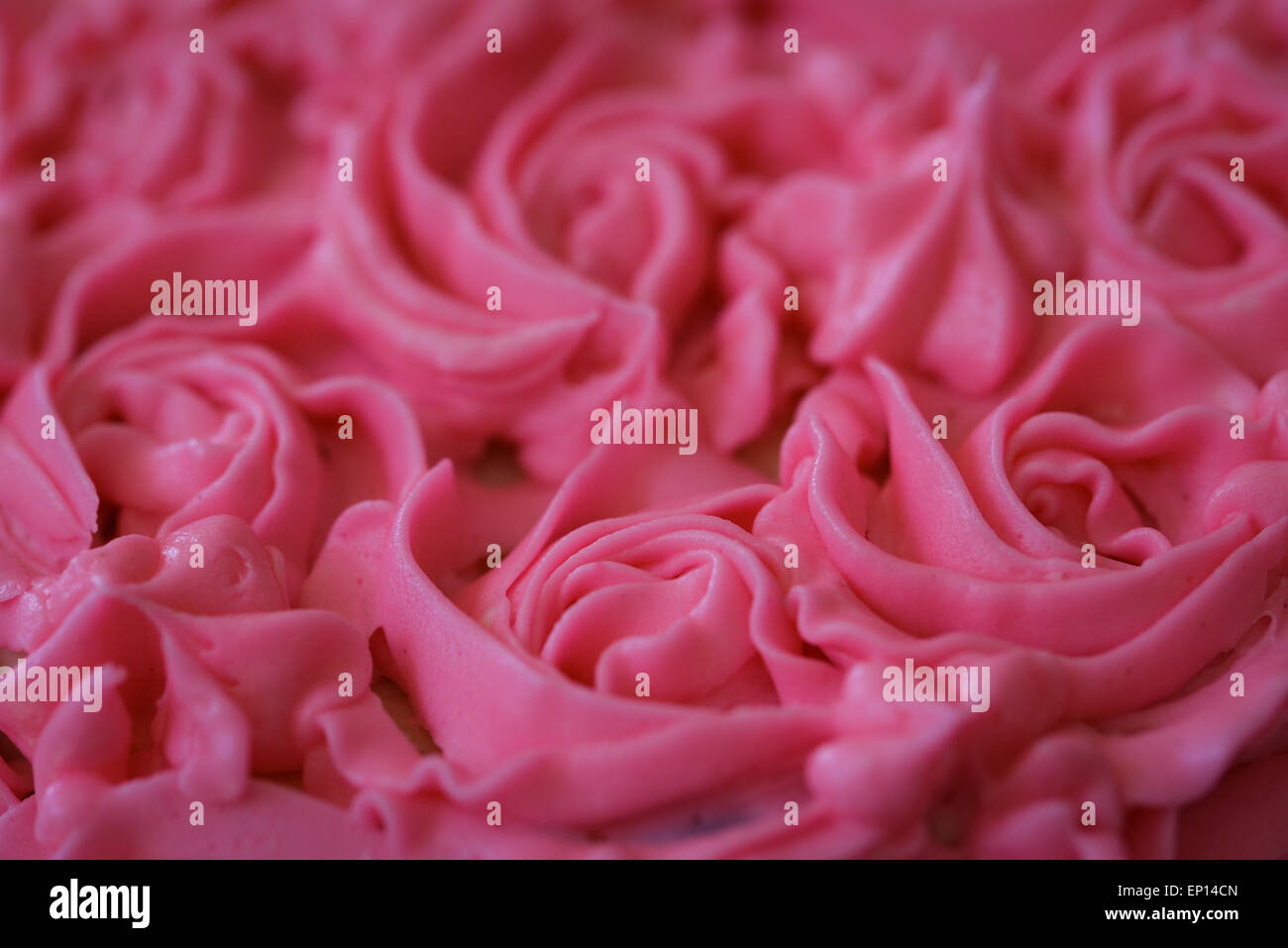 Closeup Of Pink Rose Frosting Decorated Cake Stock Photo