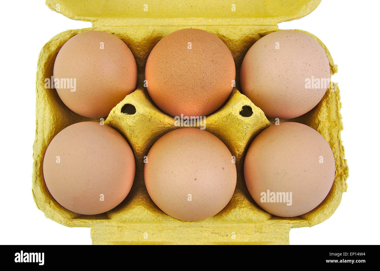Half a dozen eggs in a green carton viewed from the front. White