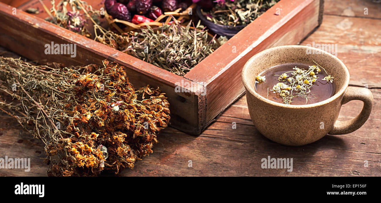 ceramic cup with tea brewed from dried chamomile and medicinal herbs ...