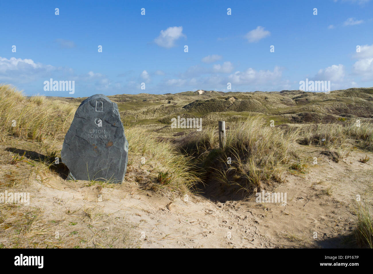 Sand dune habitat at Upton Towans National Nature Reserve, St. Ives Bay, Cornwall, England. March. Stock Photo