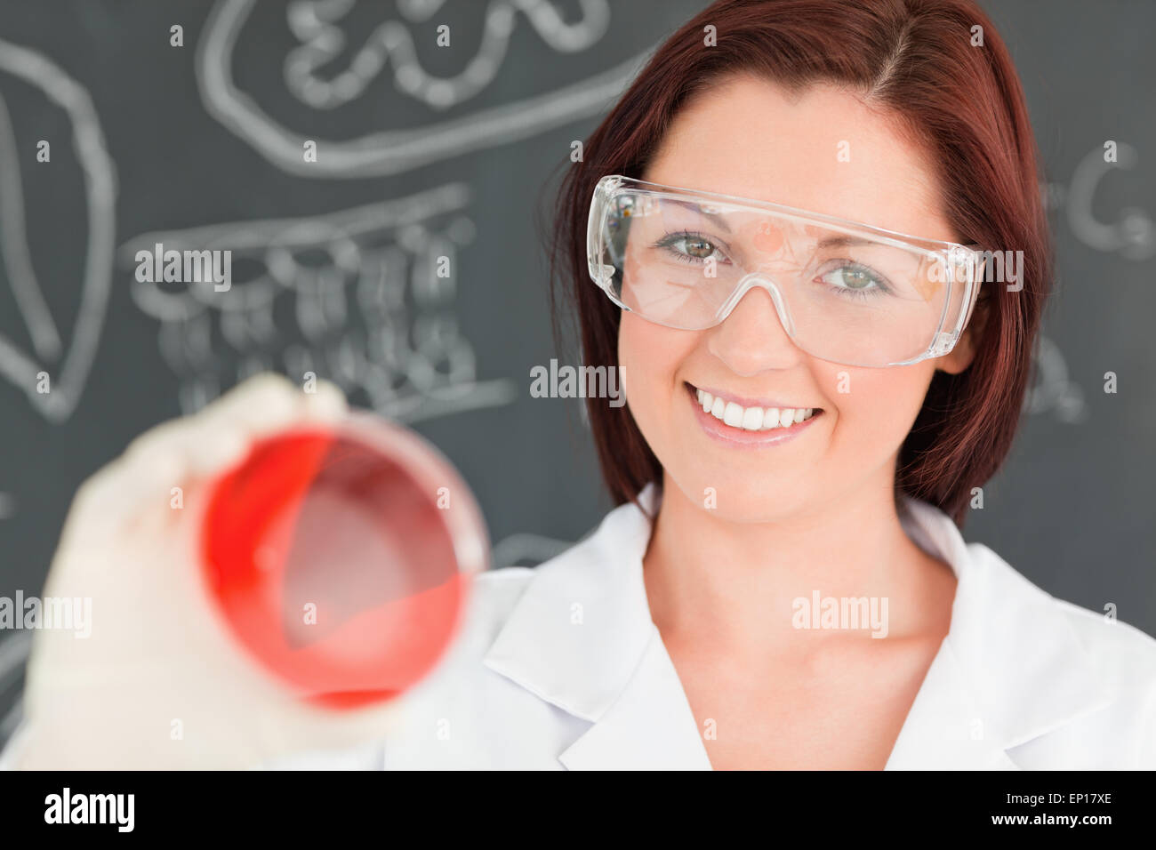 Close up of a scientist looking at a petri dish Stock Photo