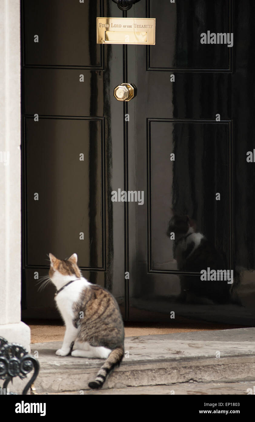 Larry The Downing Street Cat With An Open Door At Number