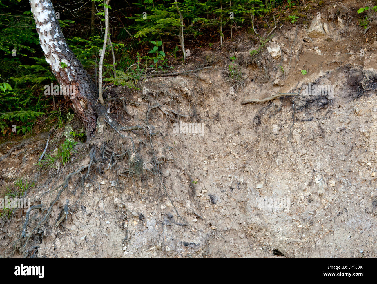 layer of soil beneath section Stock Photo