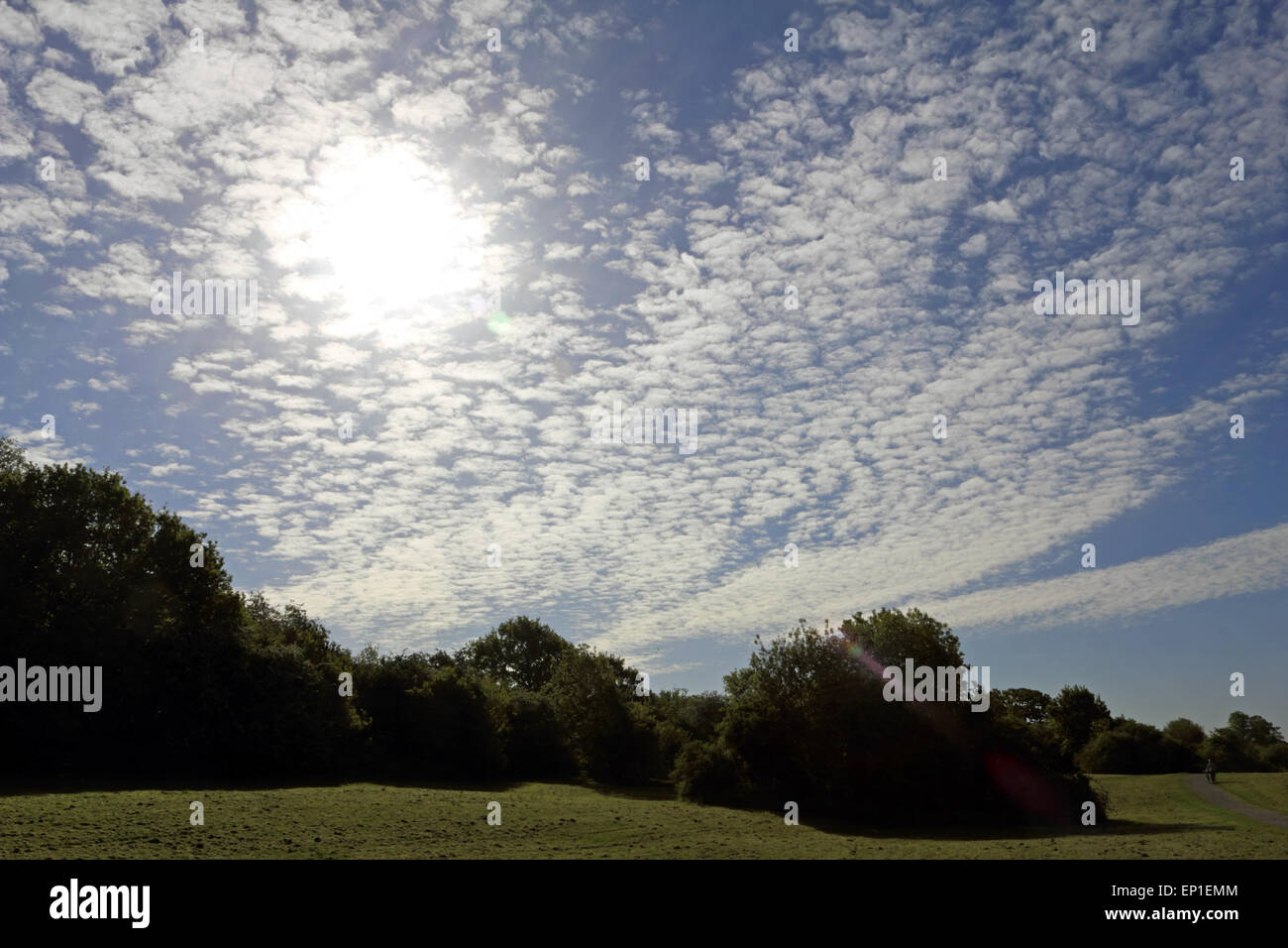 Tolworth, Surrey, UK. 13th May, 2015. UK weather. At the start of a fine day across much of the UK the skies over Surrey were filled with the rare meteorological phenomenon of altocumulus clouds, better known as a mackerel sky. Credit:  Julia Gavin UK/Alamy Live News Stock Photo