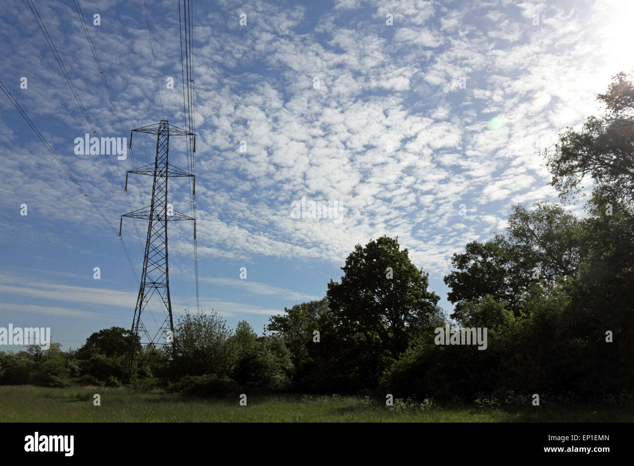 Tolworth, Surrey, UK. 13th May, 2015. UK weather. At the start of a fine day across much of the UK the skies over Surrey were filled with the rare meteorological phenomenon of altocumulus clouds, better known as a mackerel sky. Credit:  Julia Gavin UK/Alamy Live News Stock Photo