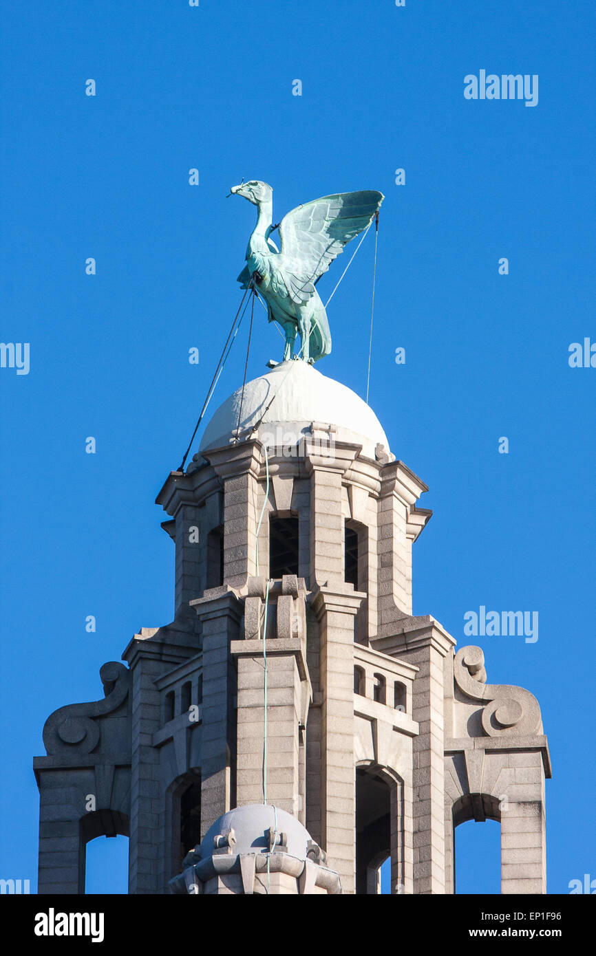 Royal Liver Building with famed Liver Bird symbol of Liverpool atop of