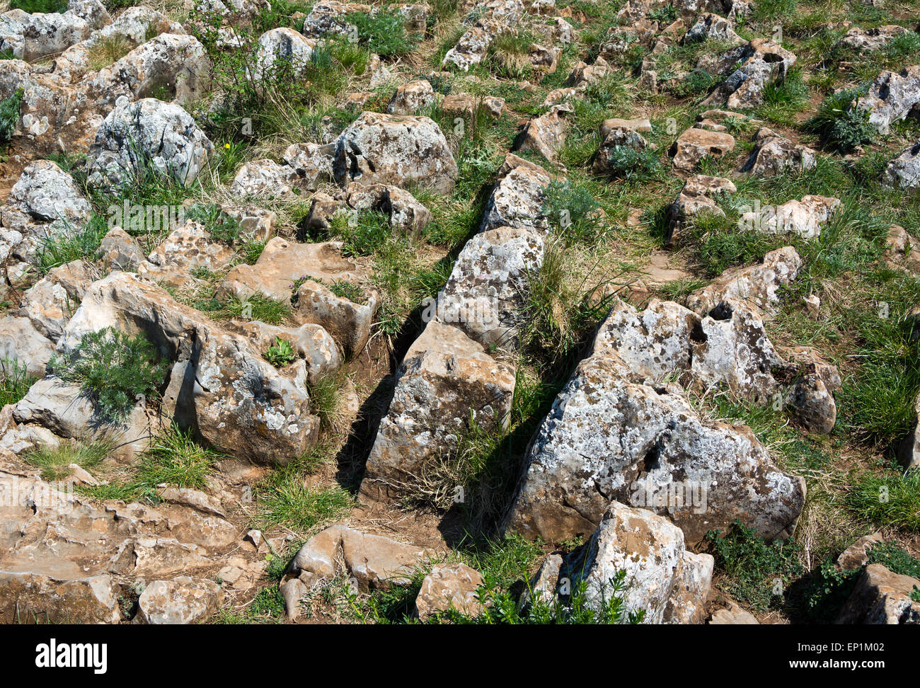 Limestone rocks in Slovak Karst National Park Stock Photo