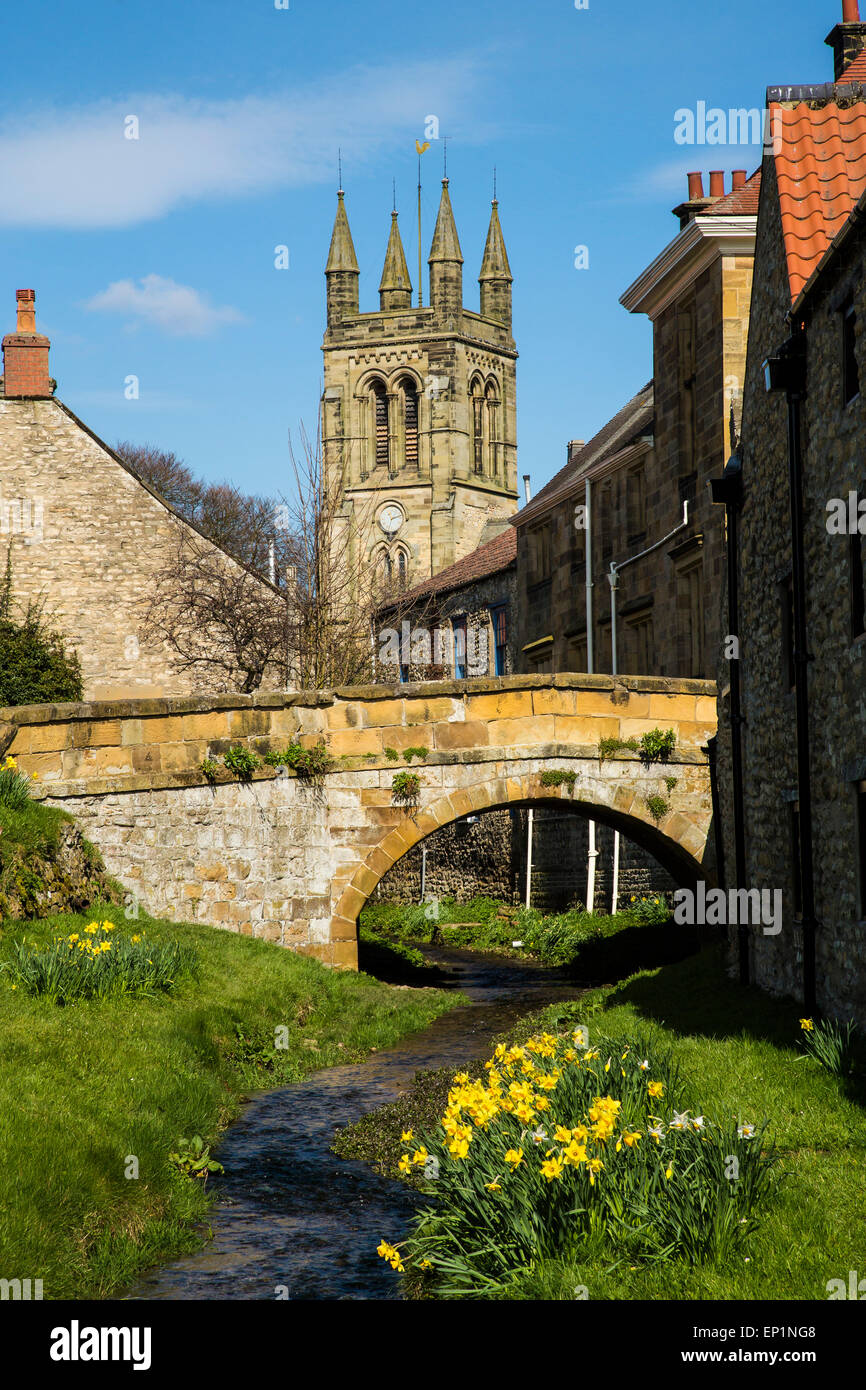 Daffodils at Helmsley, North Yorkshire Stock Photo
