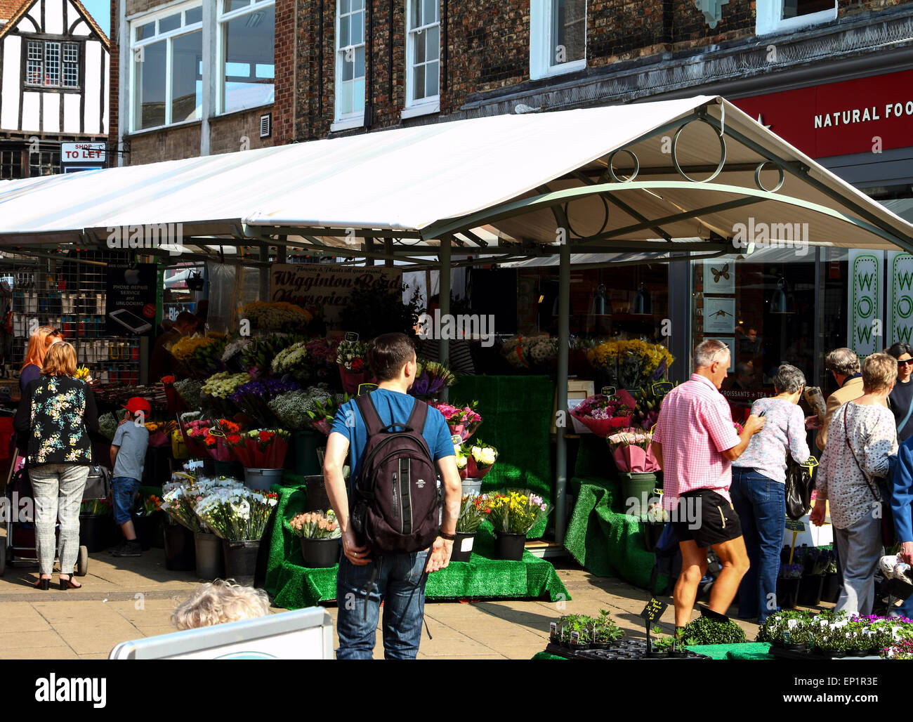 Flower stall in Shambles Market, York city, England, UK Stock Photo Alamy