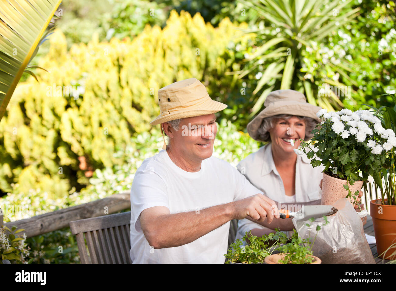 Senior couple sitting in their garden Stock Photo - Alamy
