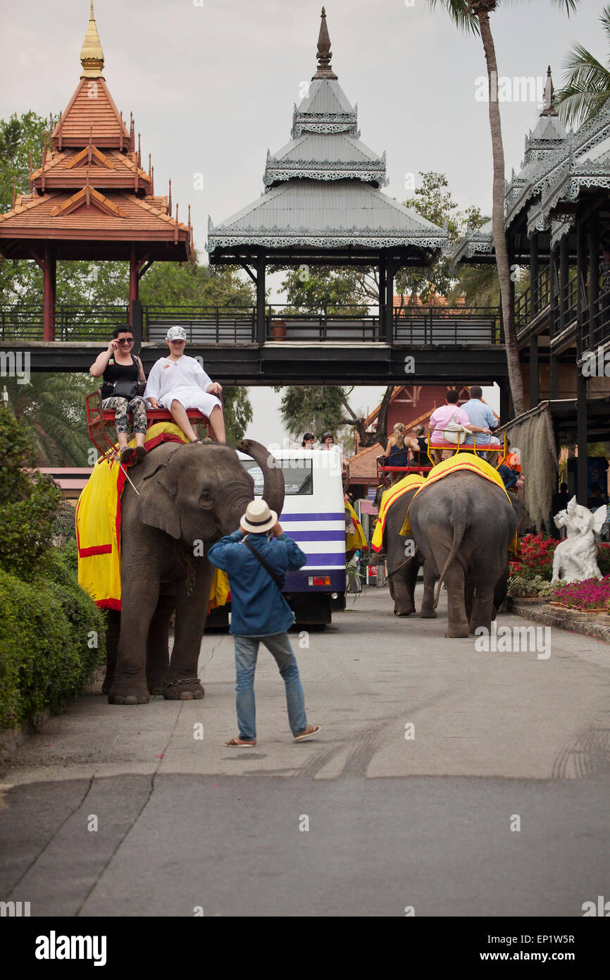 Tourists enjoy a ride on an elephant within the grounds of the famous
