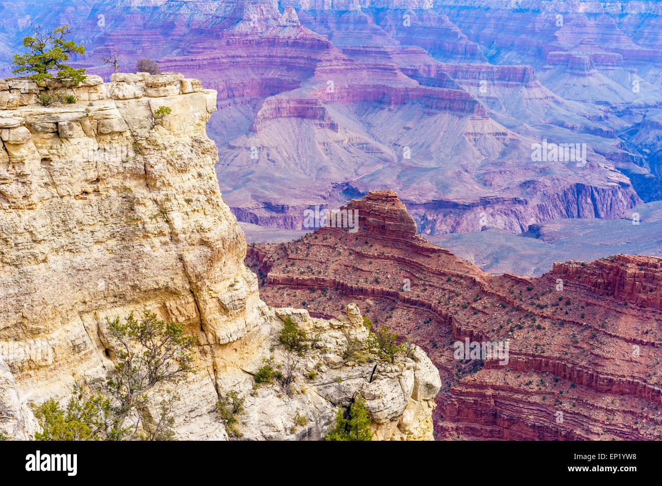 View of Grand Canyon from the South Rim, Arizona, USA Stock Photo