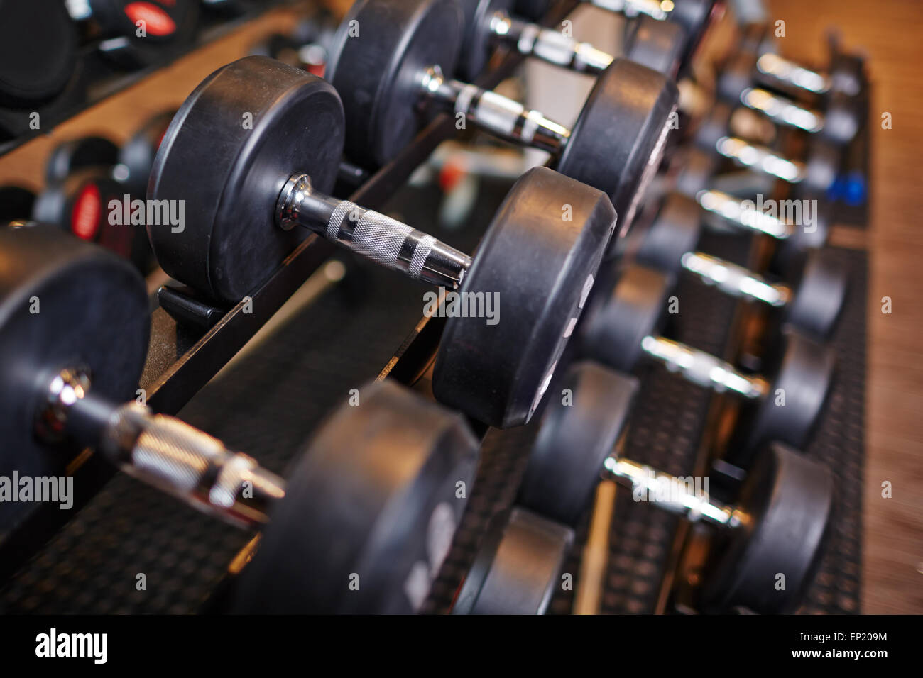 Row of barbells in gym Stock Photo Alamy